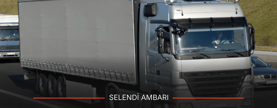 Selendi Ambarı